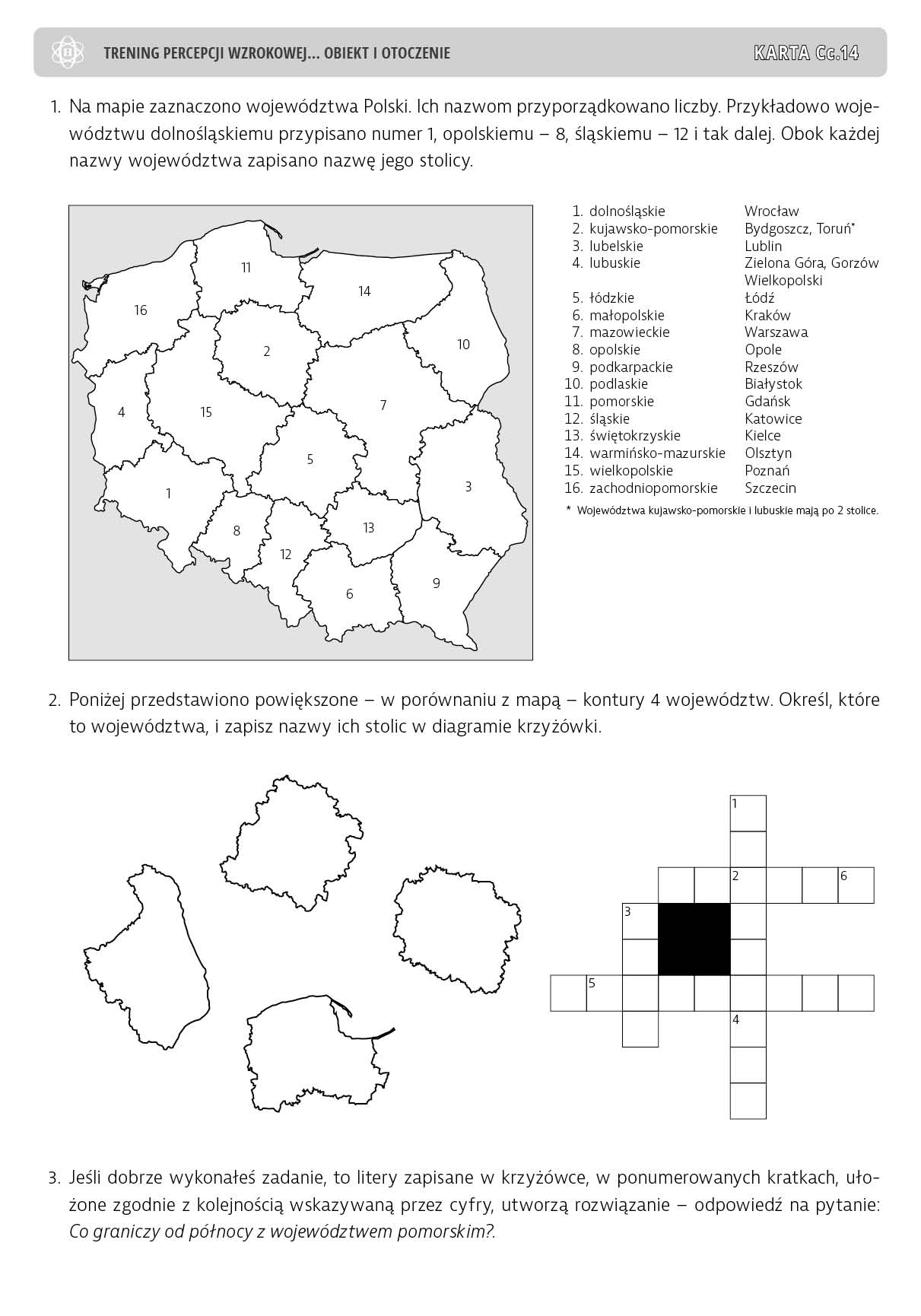 Trening percepcji wzrokowej. Obiekt i otoczenie