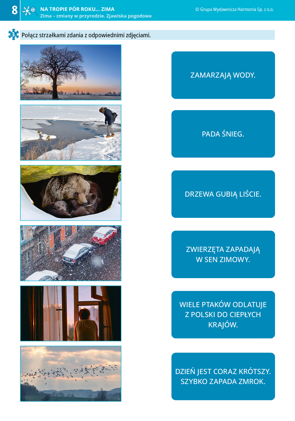 Na tropie pór roku. Zima