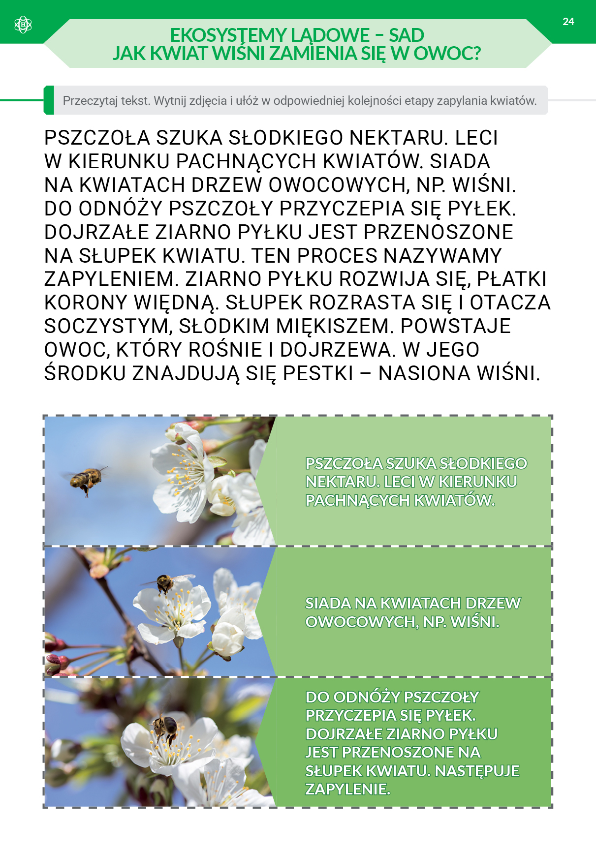 Podróż przez pory roku. Część 3 (nowe wydanie)