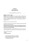 Gramatyka, co z głowy nie umyka