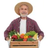 Fotokarty. Zawody