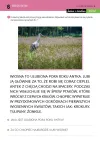 Jestem i działam. Wiosna