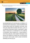Jestem i działam. Lato