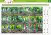 Witamy pory roku. Wiosna