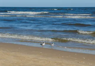 Poznaję i rozumiem świat. Podręcznik