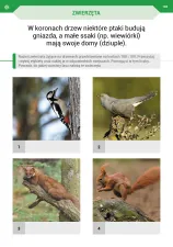Podróż przez pory roku z kartami pracy. Część 1