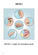 Uczę się z kartami pracy. Podręcznik