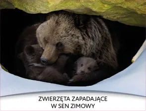 Cztery pory roku