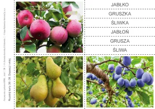 Przez pory roku z symbolami MÓWik. Jesień