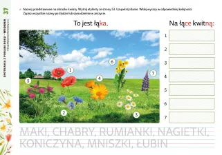 Spotkania z porami roku. Wiosna