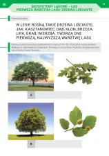 Podróż przez pory roku. Część 1 (nowe wydanie)