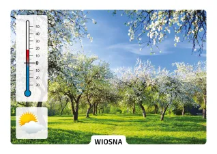 Od stóp do głów