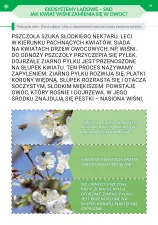 Podróż przez pory roku. Część 3 (nowe wydanie)