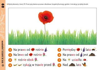 Rok w sadzie i ogrodzie