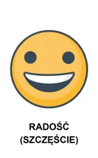 Znajdź takie same emocje