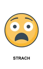 Znajdź takie same emocje