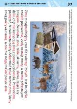 Cztery pory roku w świecie zwierząt