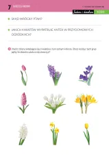 Jestem i działam. Wiosna