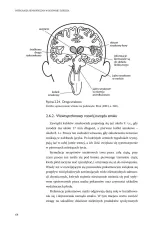 Integracja sensoryczna w rozwoju dziecka