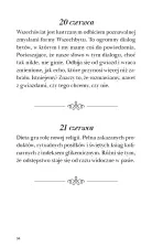Rok jak krok pierwszy. 365 kilkunastosekundowych metaforycznych refleksji