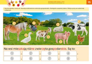 Witamy pory roku. Lato
